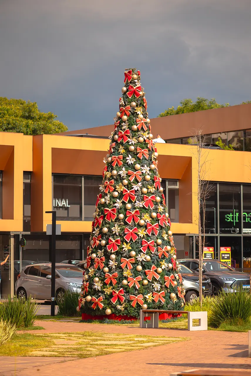 Árvore monumental — Centro Comercial