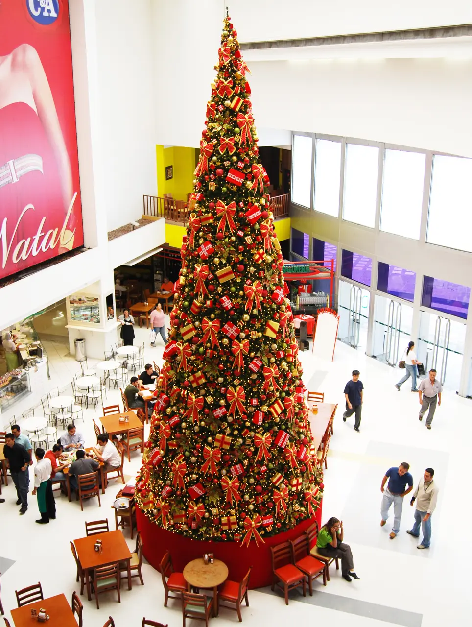 Árvore monumental — Centro Comercial