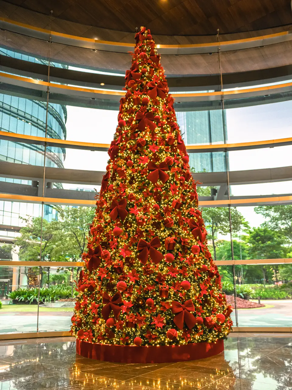 Árvore monumental — Centro Comercial